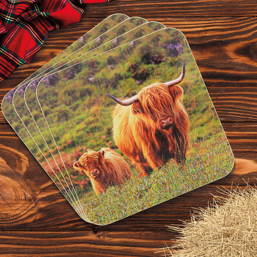 Highland Cow &amp; Calf Drink Coasters - Set of 4