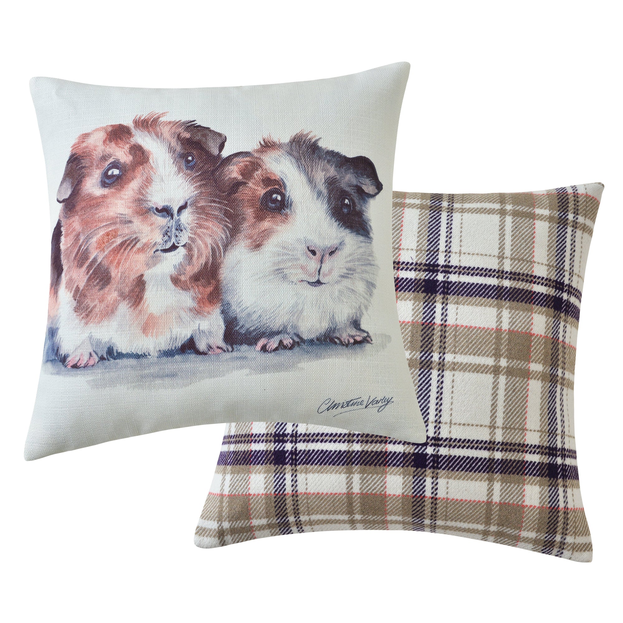 Guinea Pigs Cushion