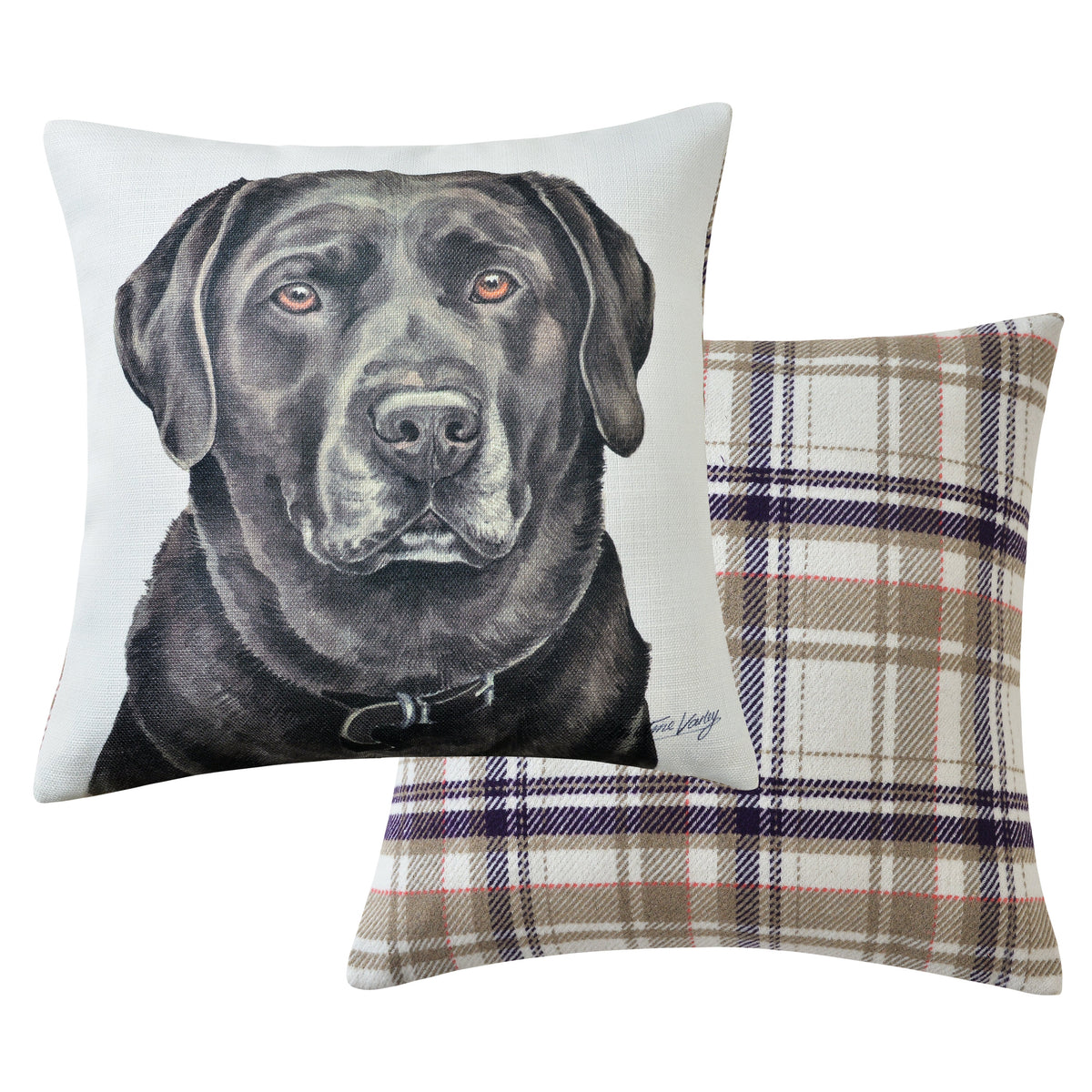 Chocolate Labrador Cushion