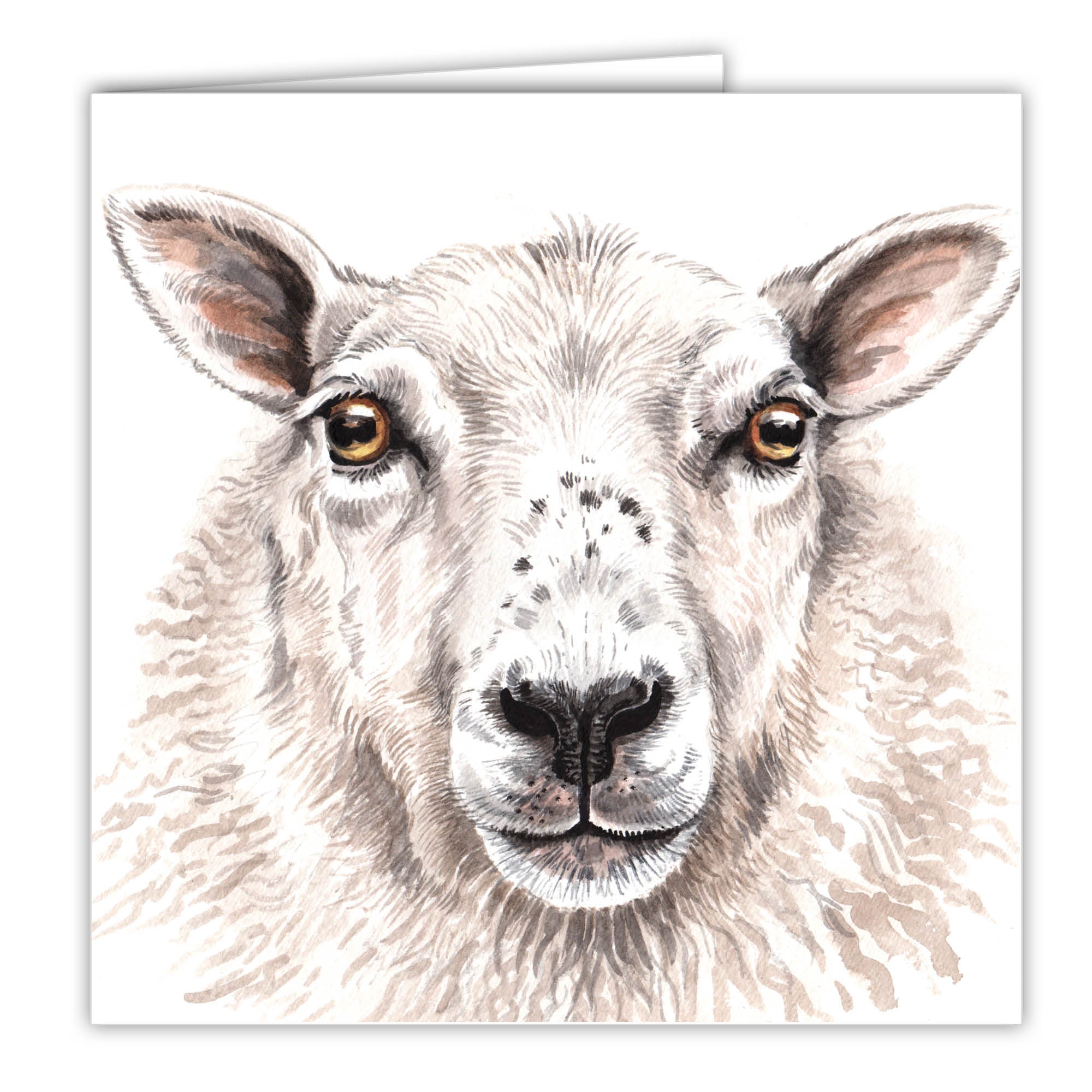 Sheep Card