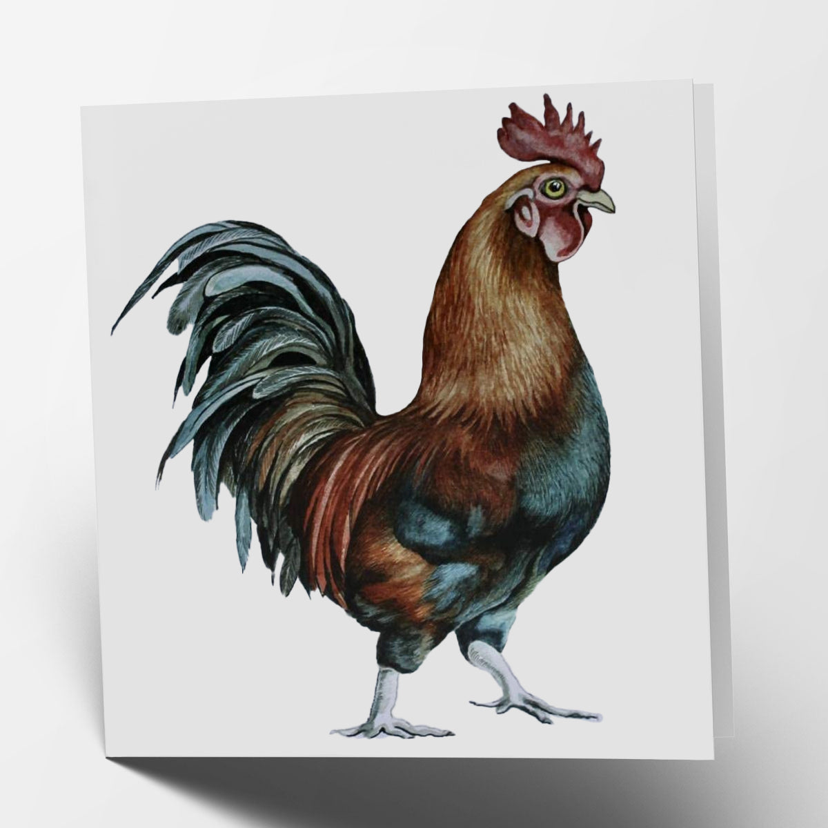 Cockerel Card