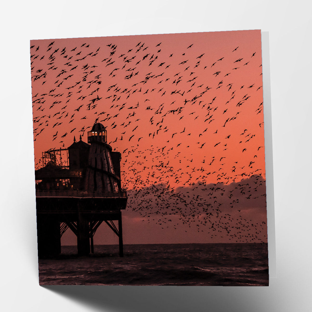 Starlings by Sea Card