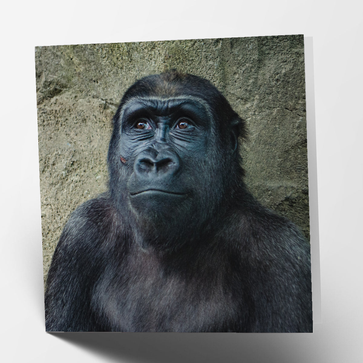 Gorilla Card