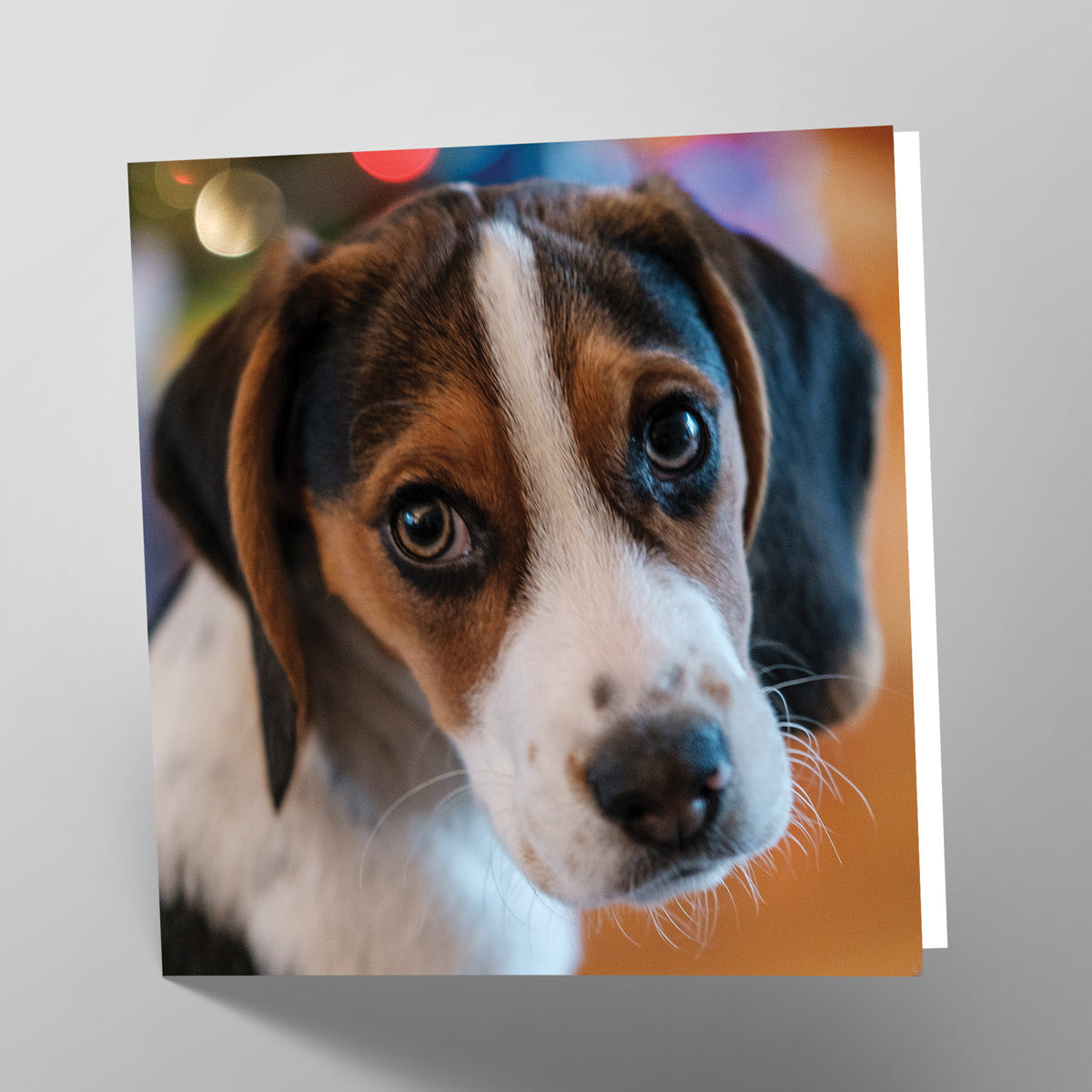 Beagle Card