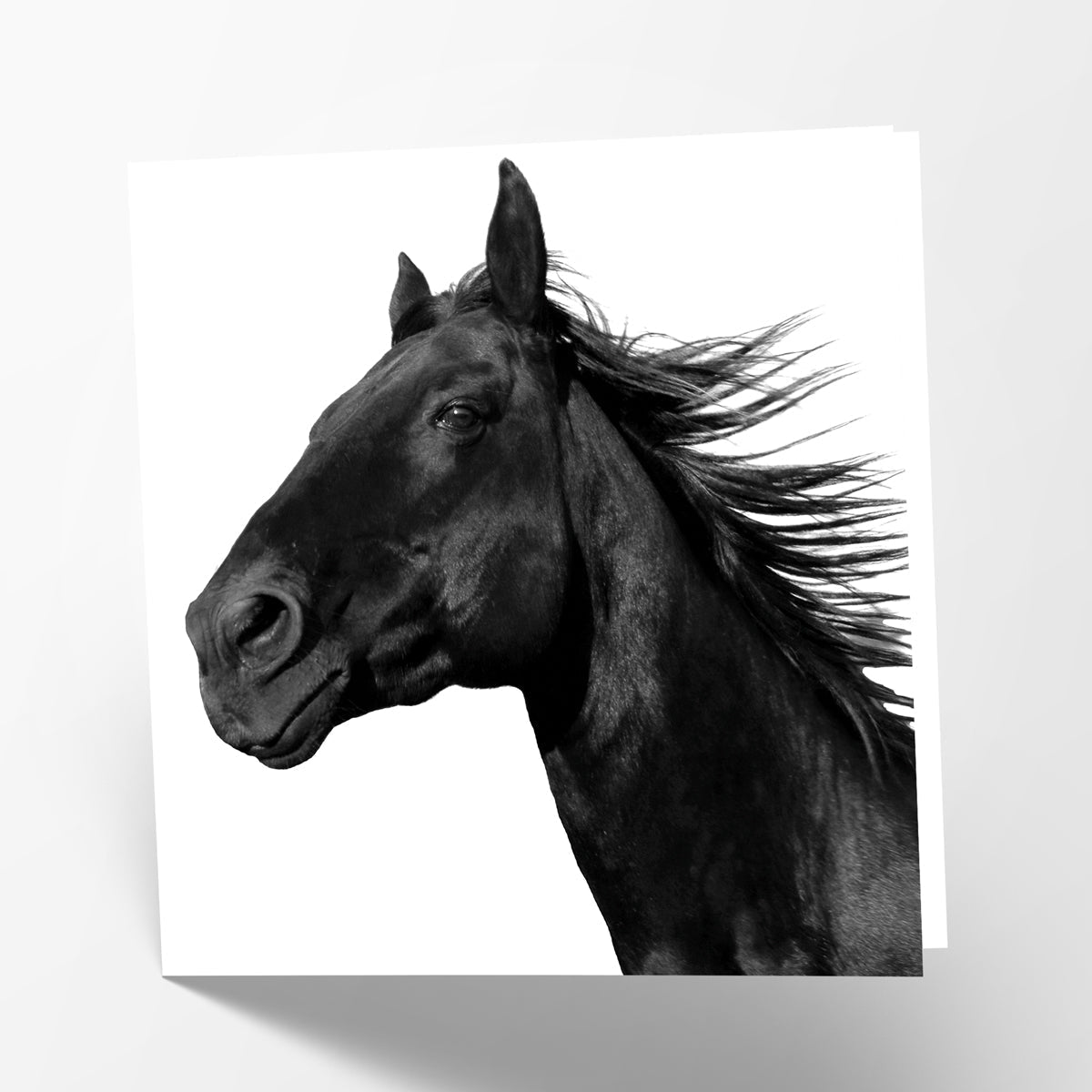 Black Horse Card