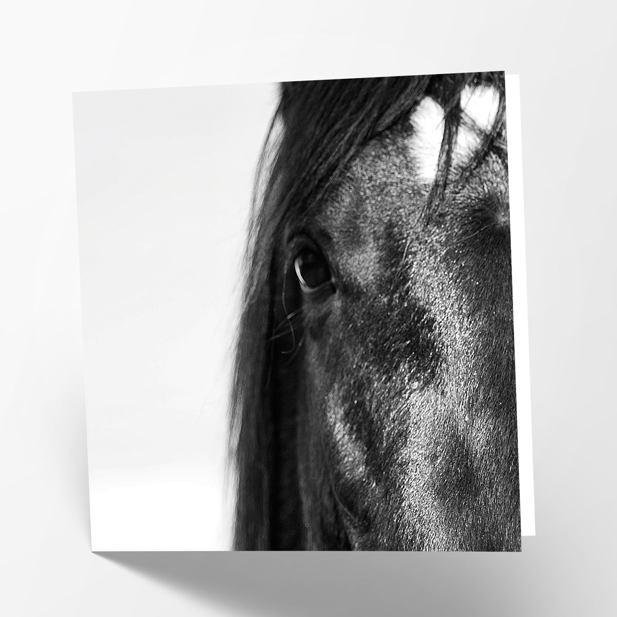 Black Horse Card