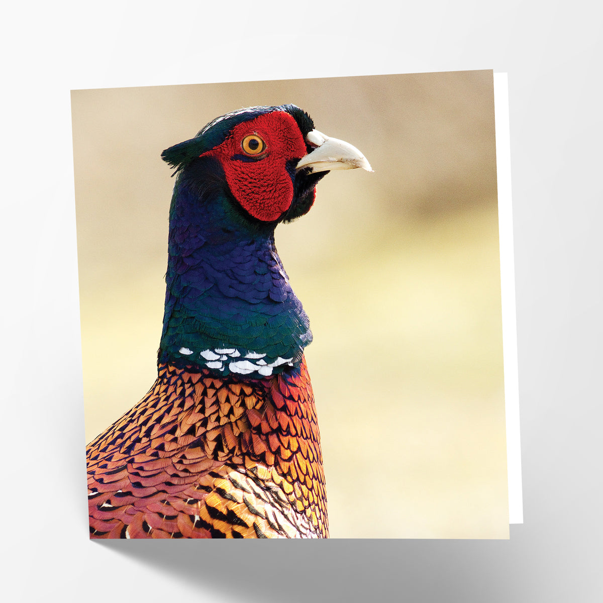 Pheasant Card