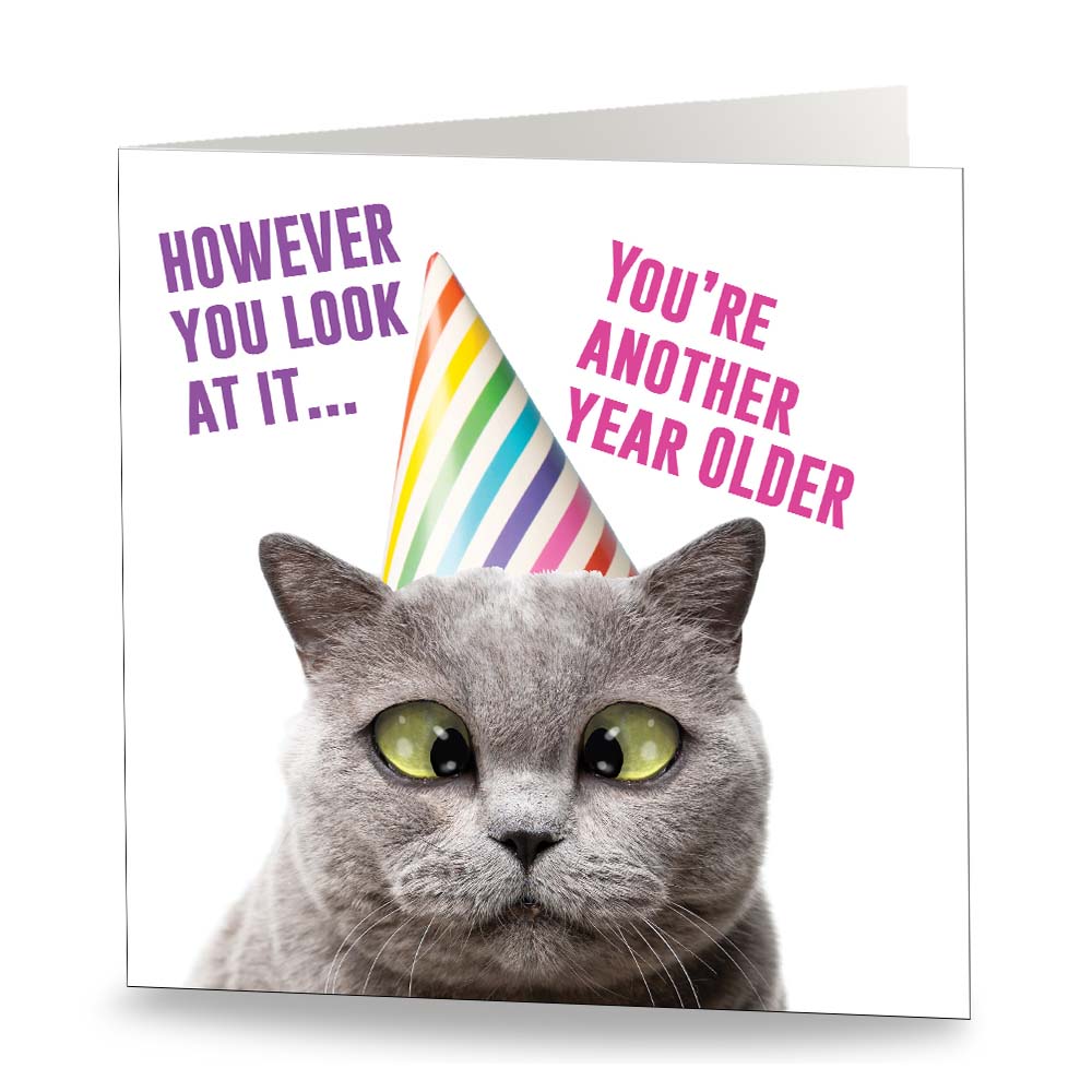 Old Cat Card