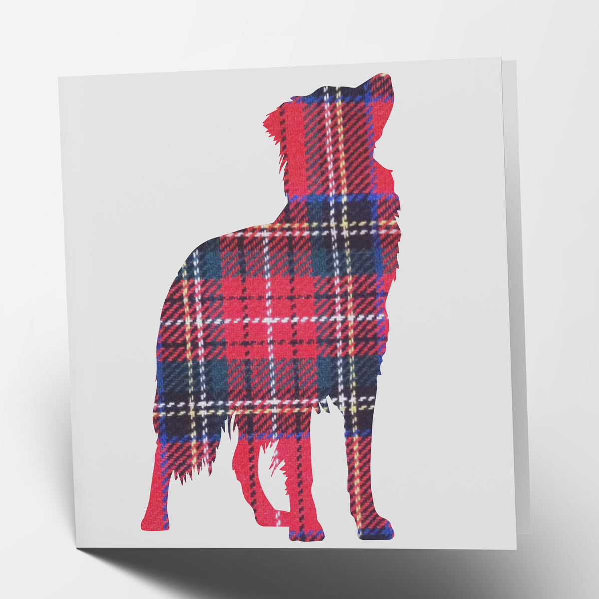 Border Collie Tartan Card