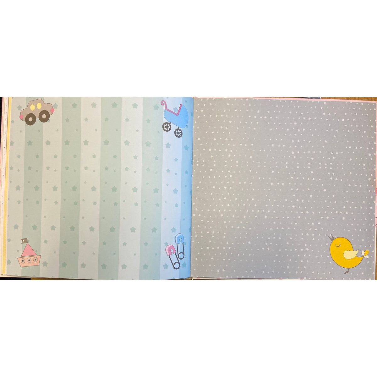 Baby Record Book in Pink