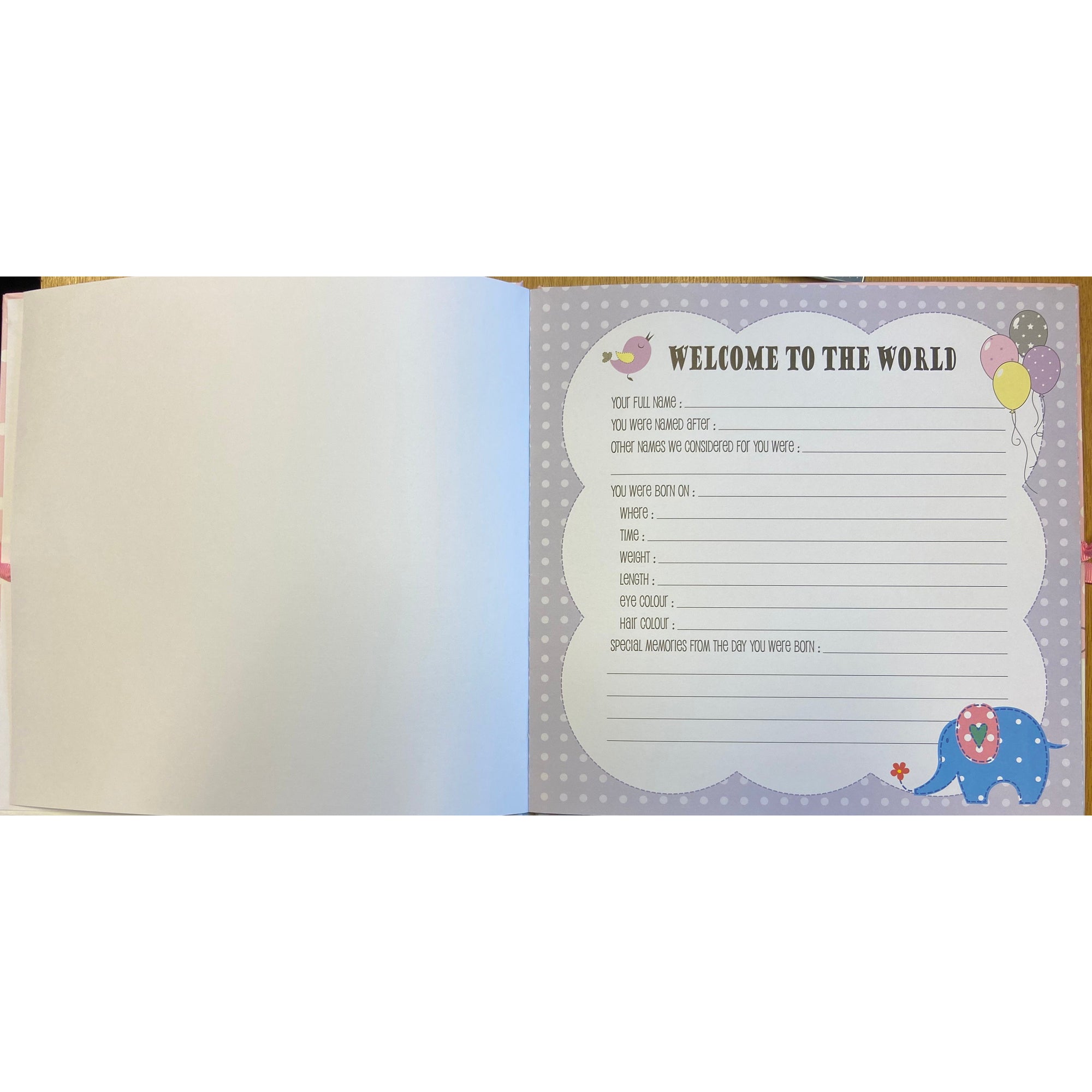 Baby Record Book in Blue