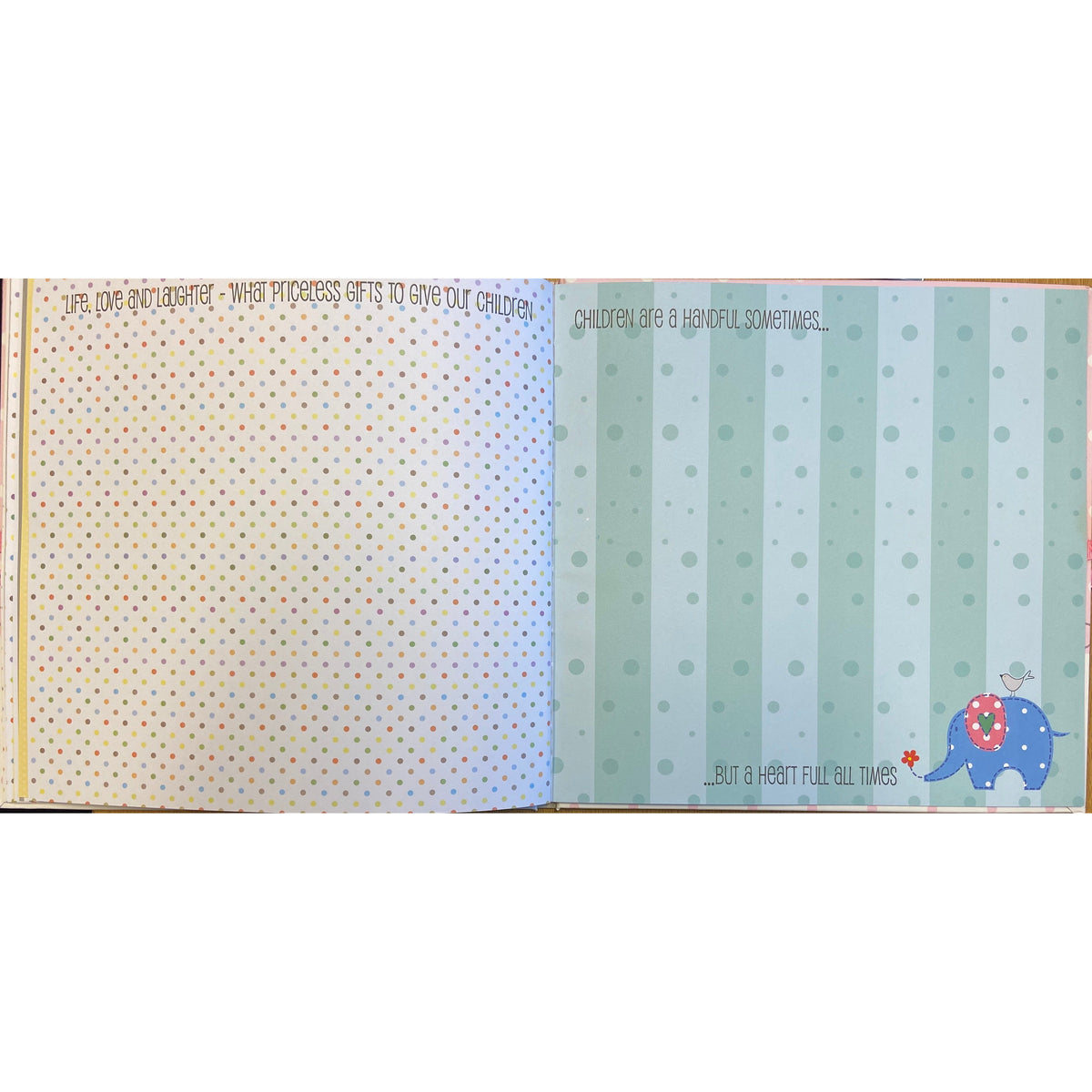 Baby Record Book in Blue