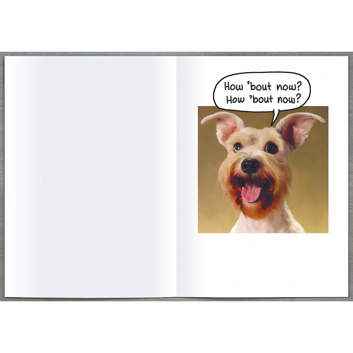 Happy Dog Birthday Greetings Card