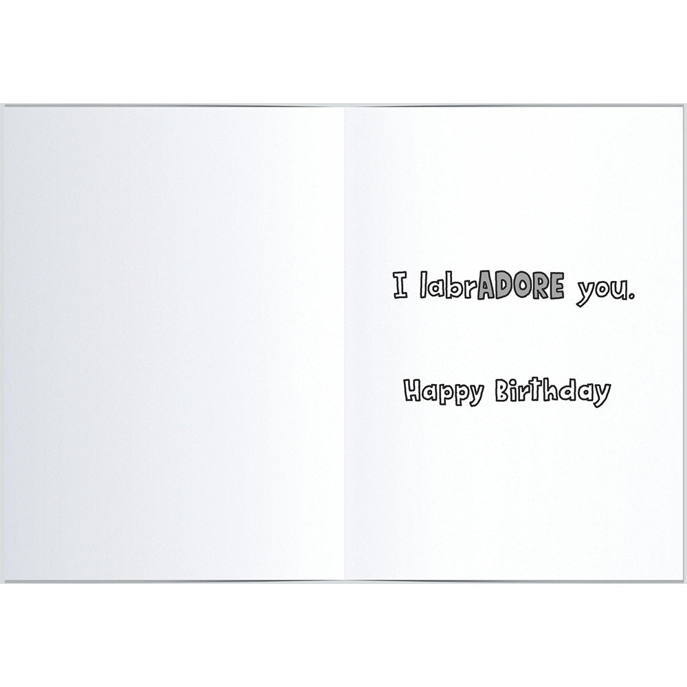 Puppy Birthday Greetings Card