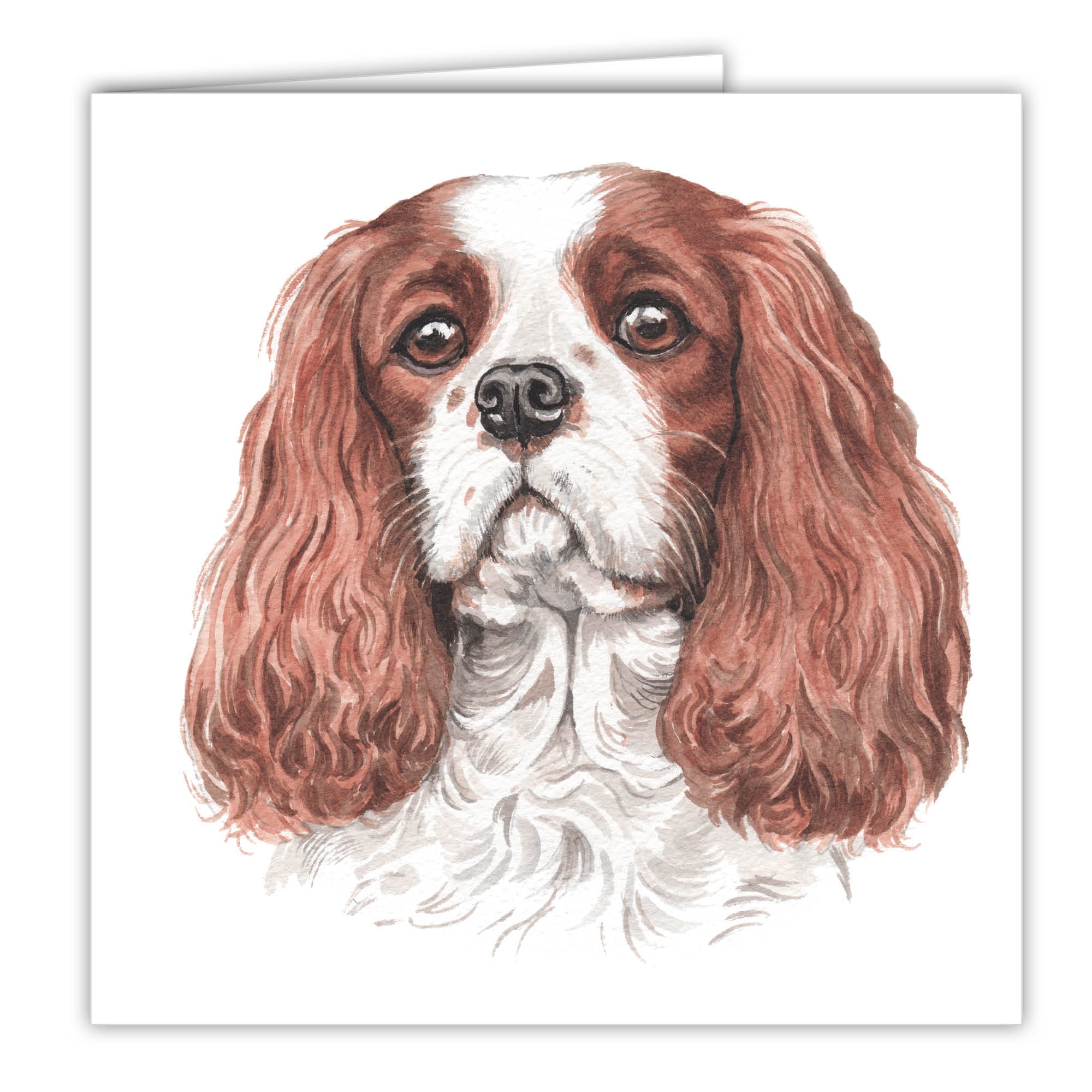 Cavalier King Charles Spaniel Card