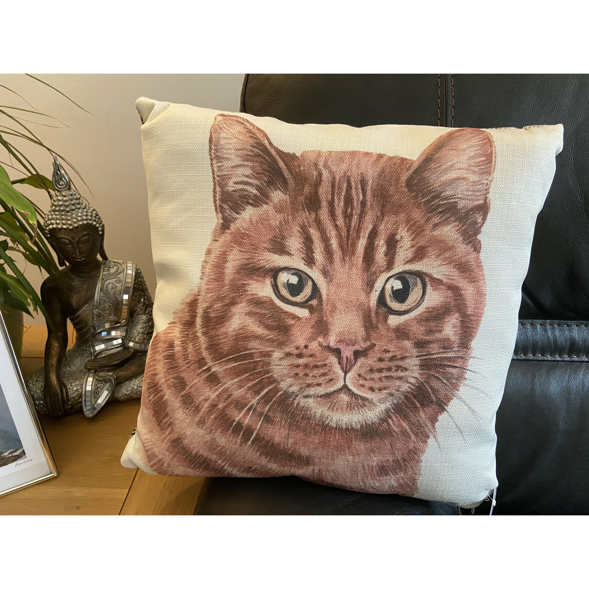 Ginger Cat Cushion