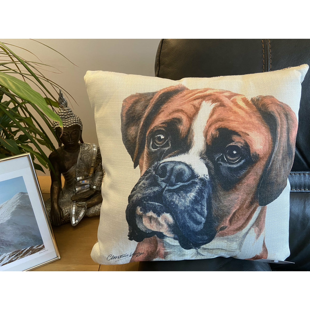 Boxer Cushion