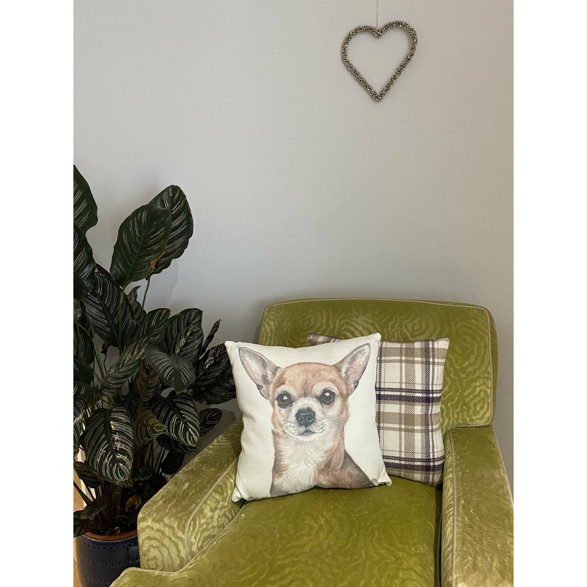 Chihuahua Cushion