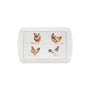 Chicken Melamine Food Tray